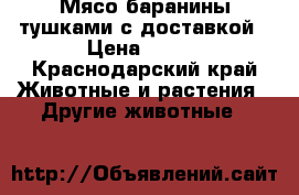 Мясо баранины,тушками с доставкой › Цена ­ 255 - Краснодарский край Животные и растения » Другие животные   